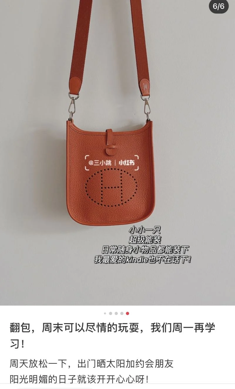 Hermes Evelyn Bags Functional 48256