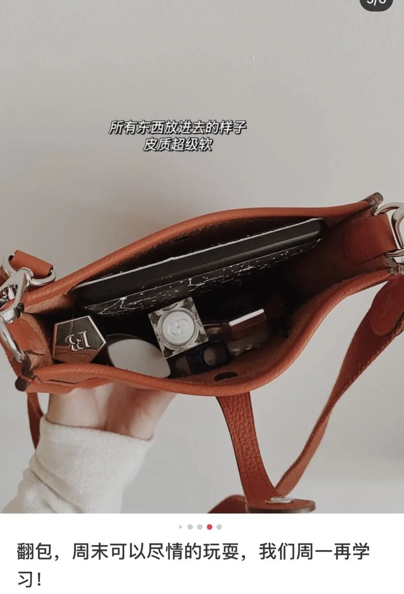 Hermes Evelyn Bags Functional 48256