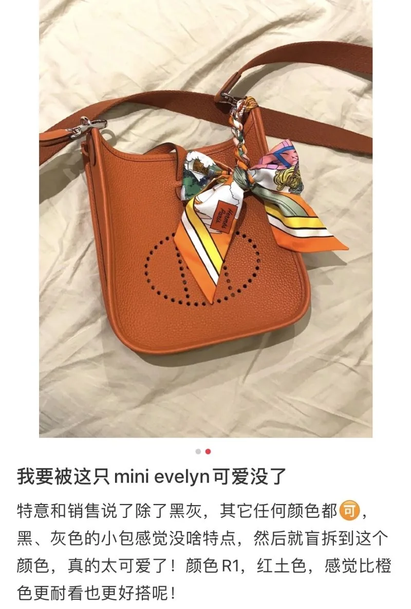 Hermes Evelyn Bags Functional 48256