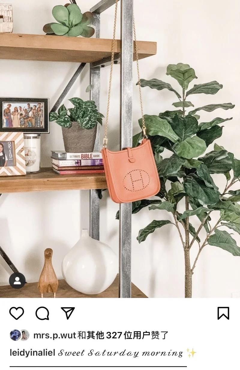 Hermes Evelyn Bags Functional 48256