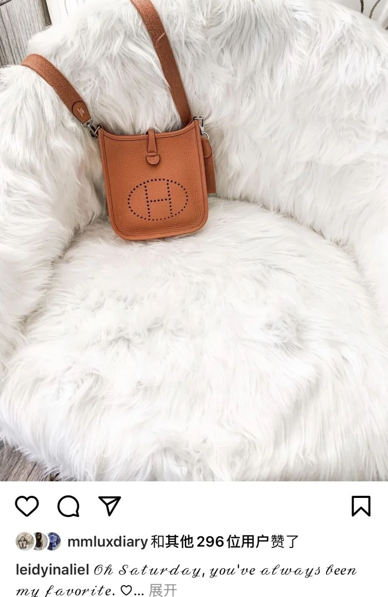 Hermes Evelyn Bags Functional 48256