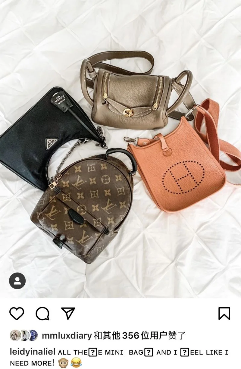Hermes Evelyn Bags Functional 48256