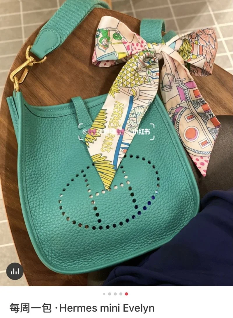 Hermes Evelyn Bags Sporty 48267