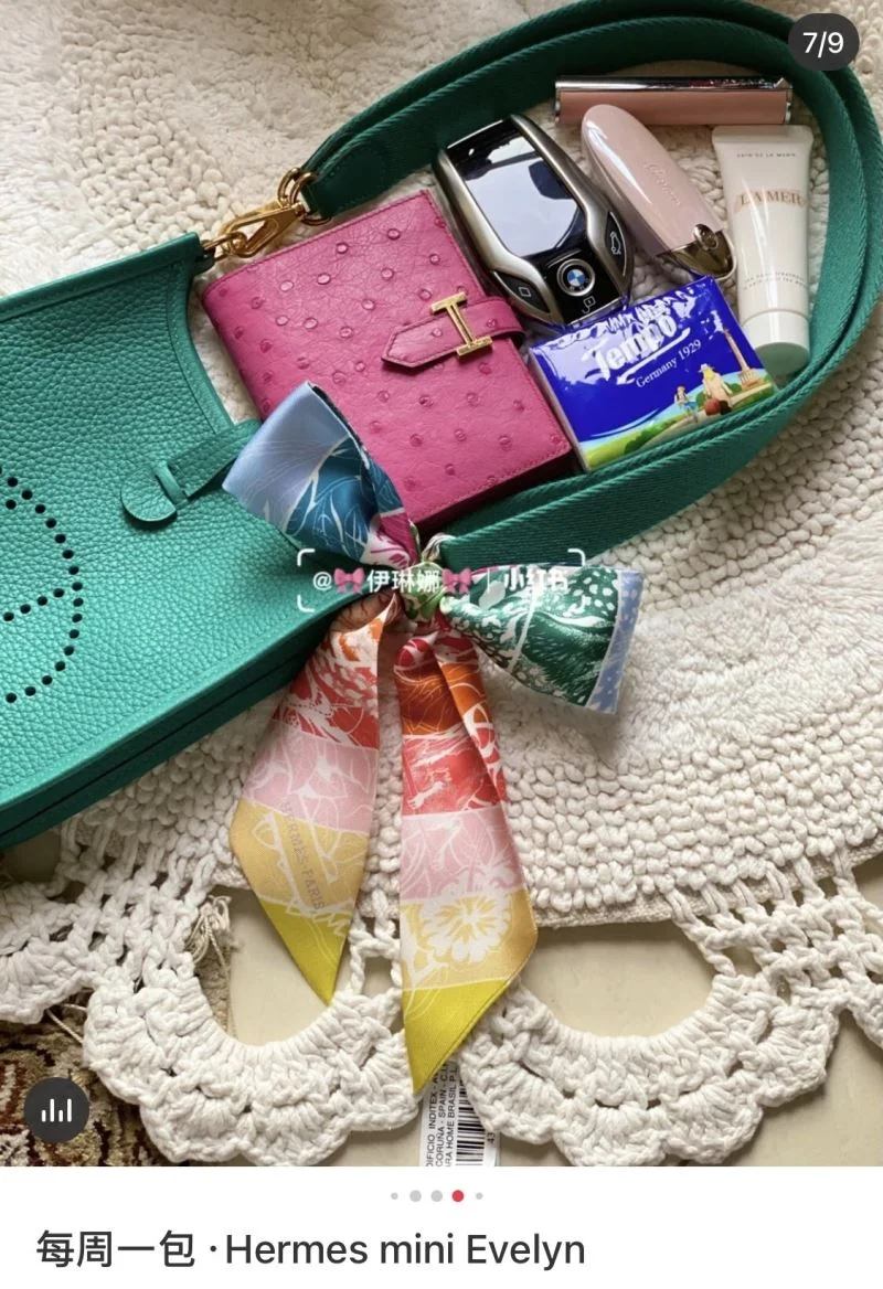 Hermes Evelyn Bags Sporty 48267