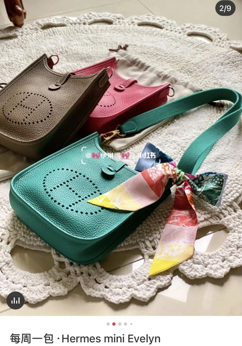 Hermes Evelyn Bags Sporty 48267
