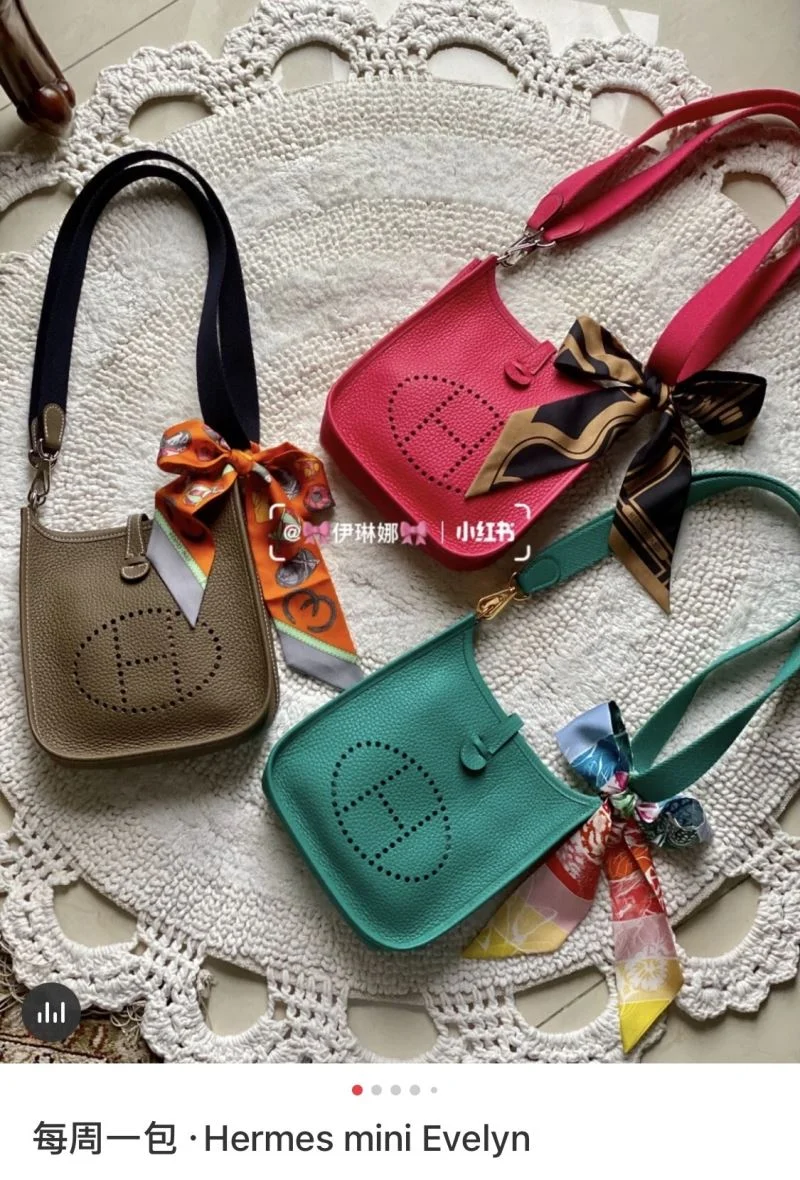 Hermes Evelyn Bags Sporty 48267