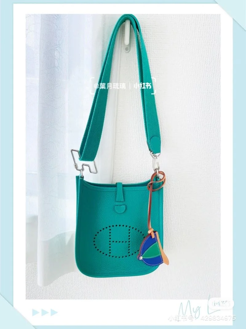 Hermes Evelyn Bags Sporty 48267