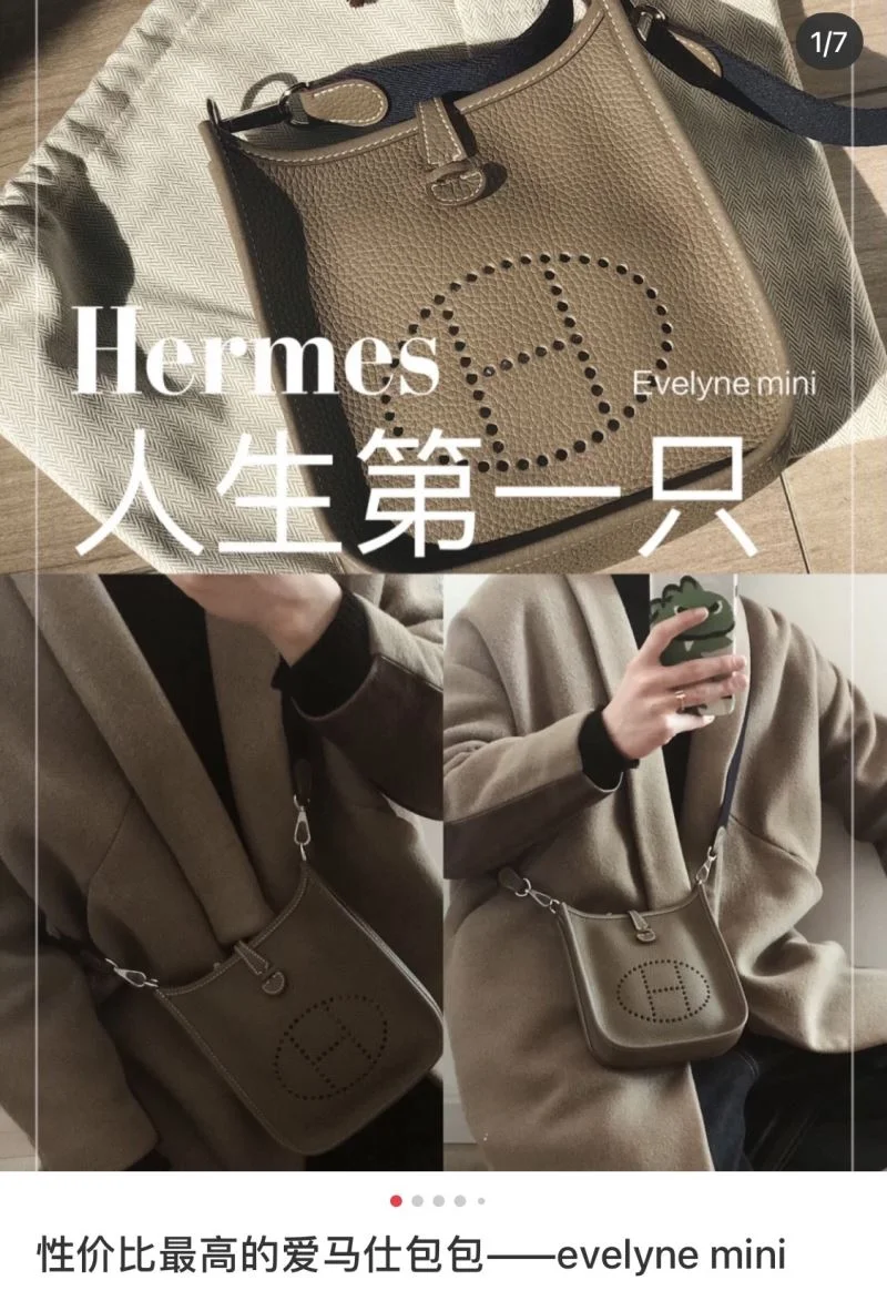 Hermes Evelyn Bags Premium 48268