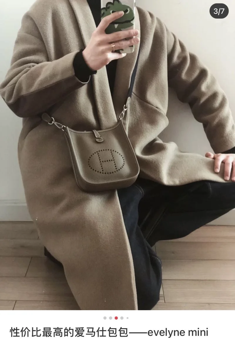 Hermes Evelyn Bags Premium 48268