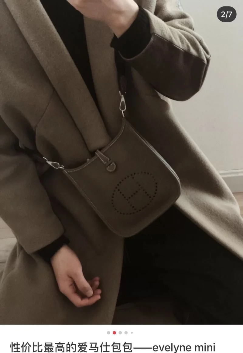 Hermes Evelyn Bags Premium 48268