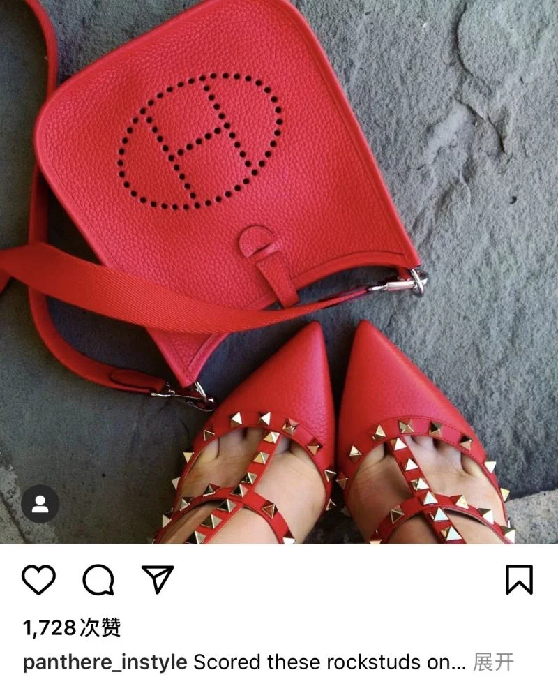 Hermes Evelyn Bags Upgraded 48303