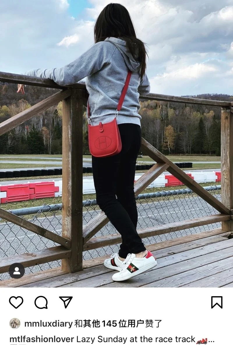Hermes Evelyn Bags Upgraded 48303