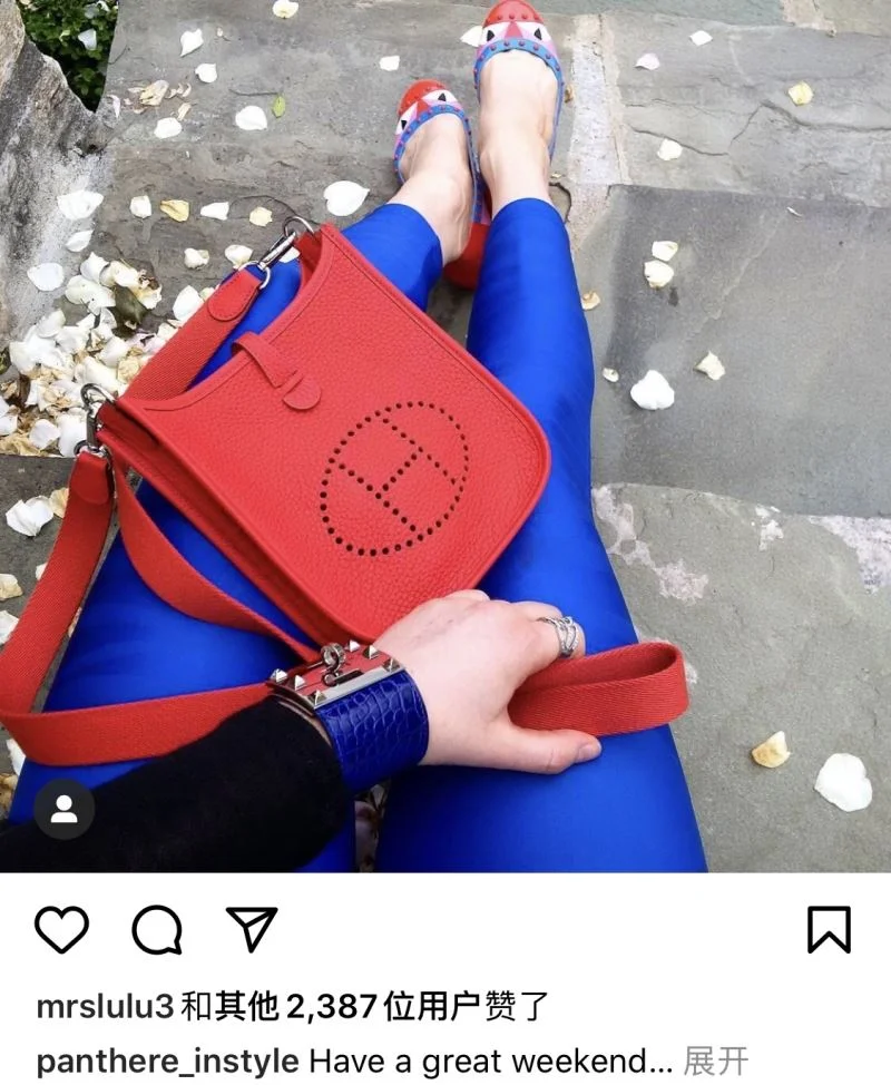 Hermes Evelyn Bags Upgraded 48303
