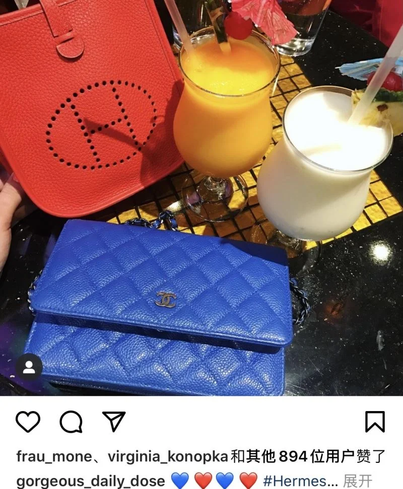 Hermes Evelyn Bags Upgraded 48303