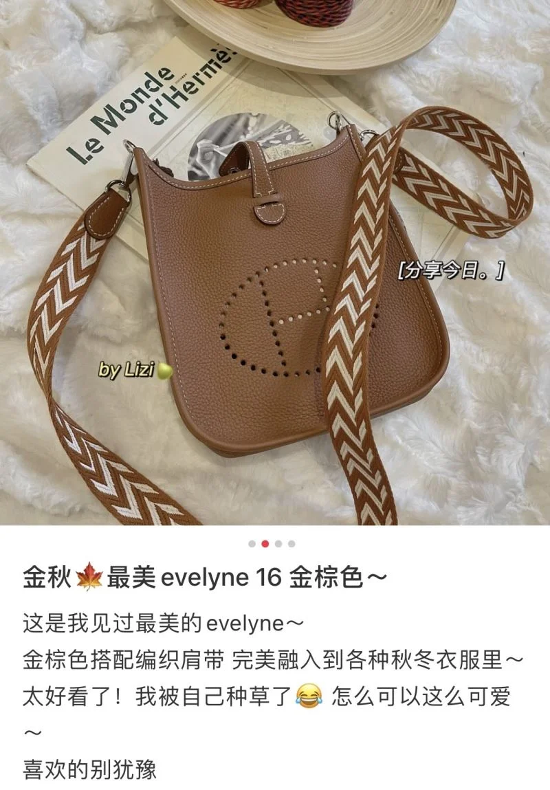 Hermes Evelyn Bags Packable 48261