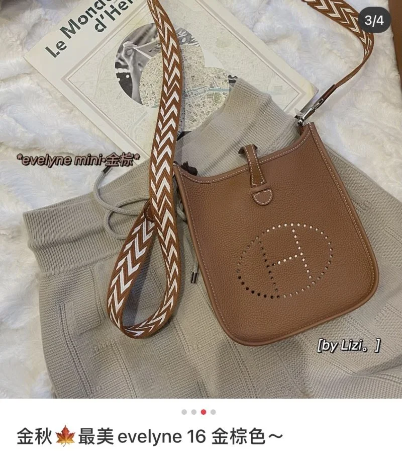 Hermes Evelyn Bags Packable 48261