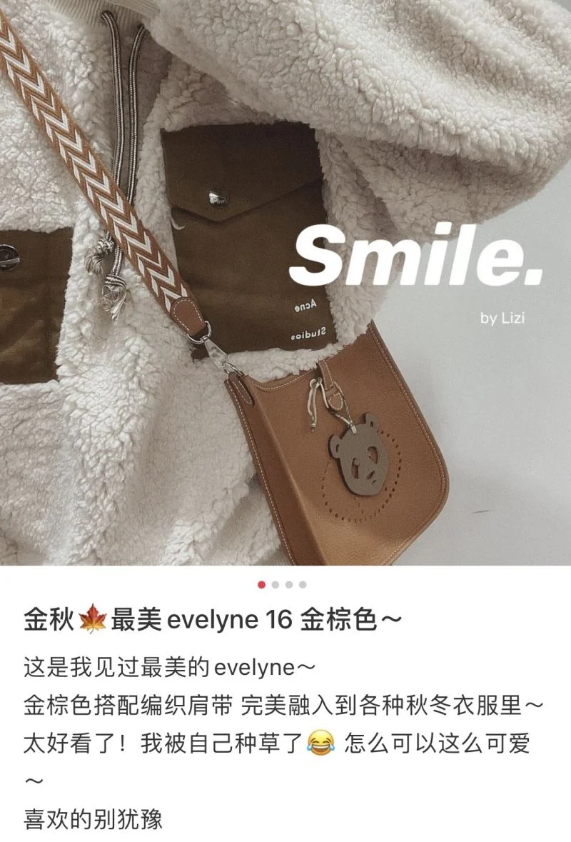Hermes Evelyn Bags Packable 48261