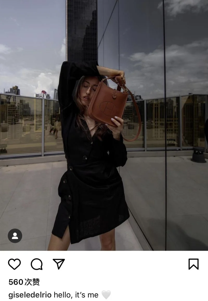 Trendsetting Hermes Evelyn Bags 48257