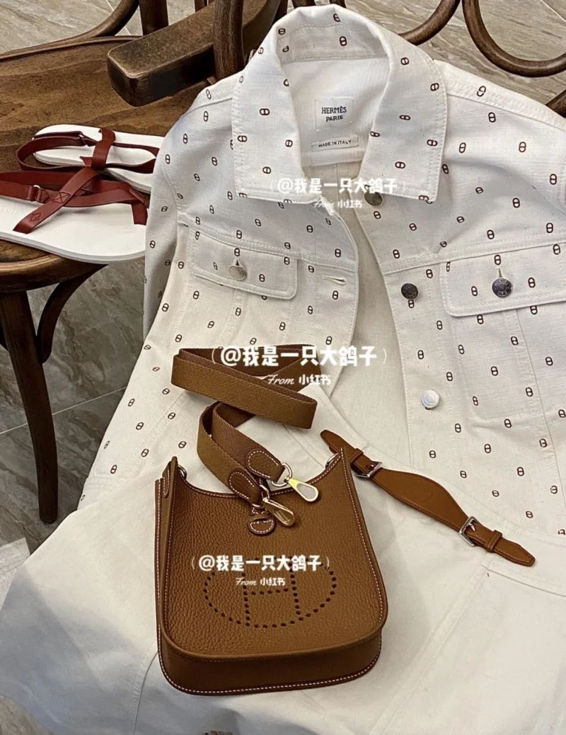 Trendsetting Hermes Evelyn Bags 48257