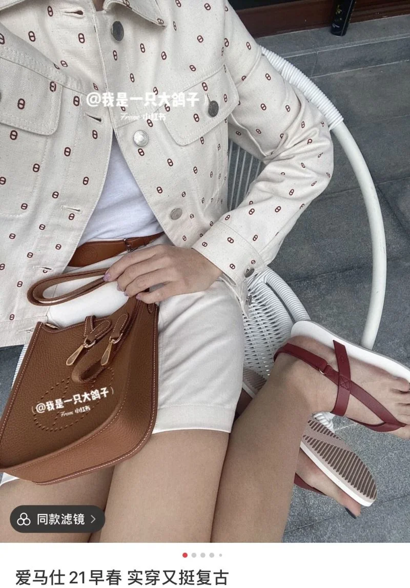 Trendsetting Hermes Evelyn Bags 48257
