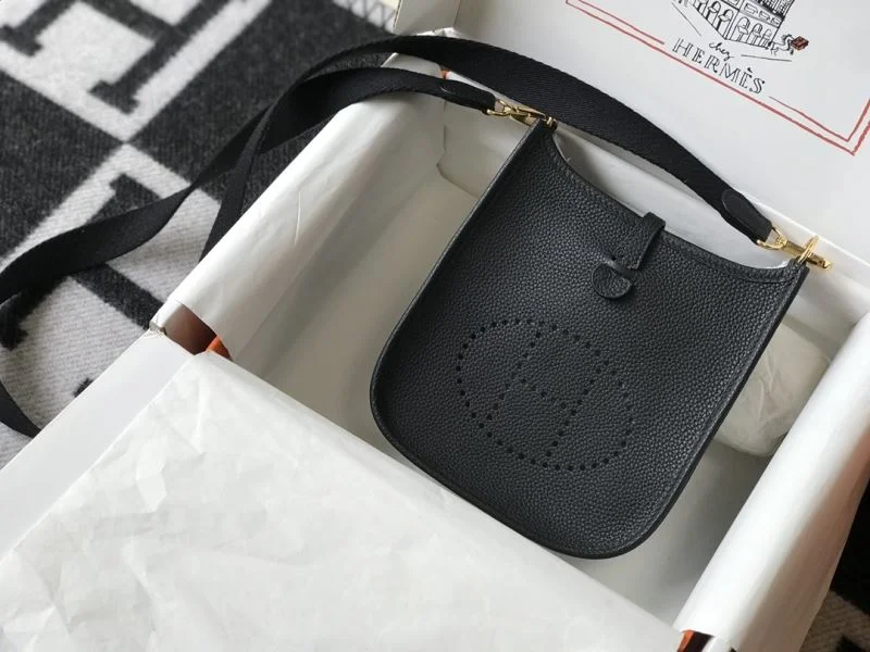 Hermes Evelyn Bags Sleek 48270