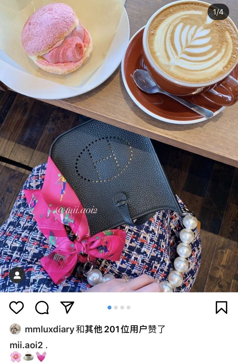 Hermes Evelyn Bags Sleek 48270