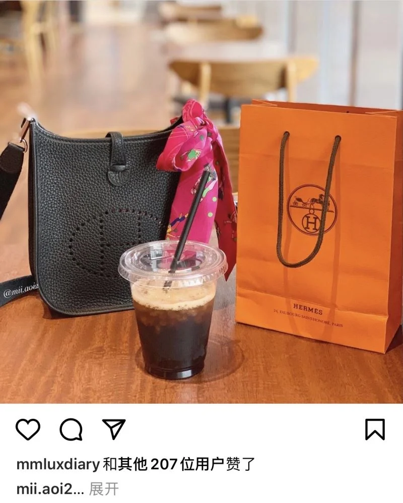 Hermes Evelyn Bags Sleek 48270