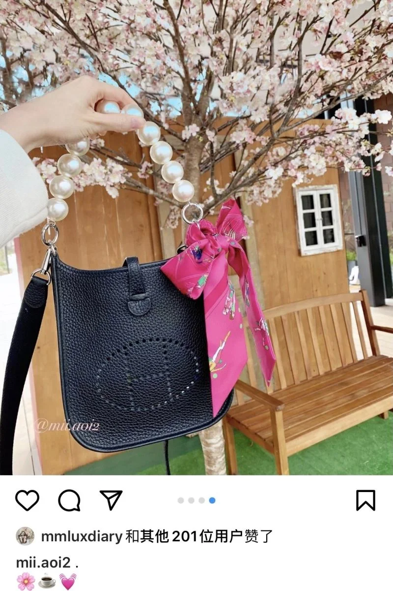 Hermes Evelyn Bags Sleek 48270