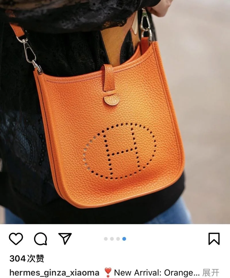 Hermes Evelyn Bags AllSeason 48291