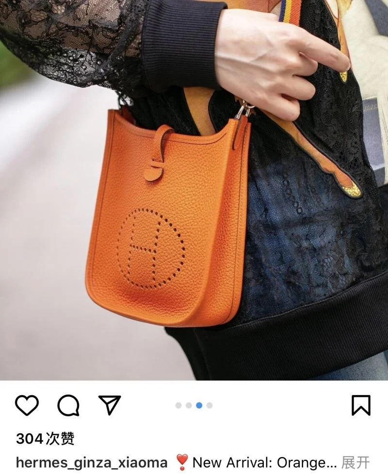 Hermes Evelyn Bags AllSeason 48291
