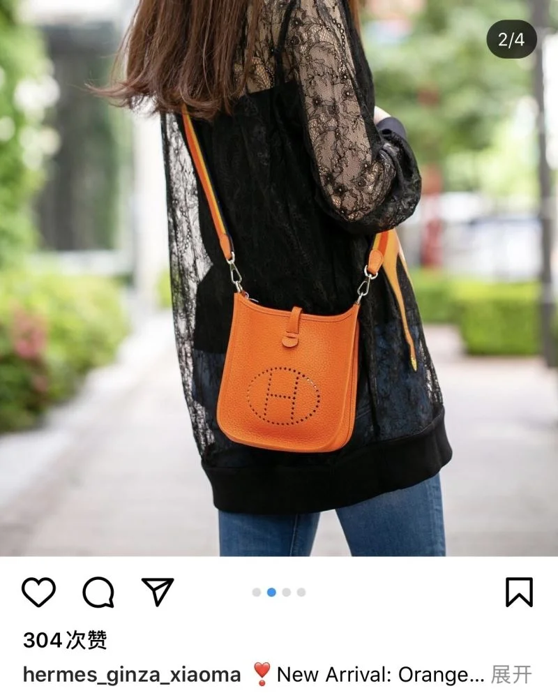Hermes Evelyn Bags AllSeason 48291
