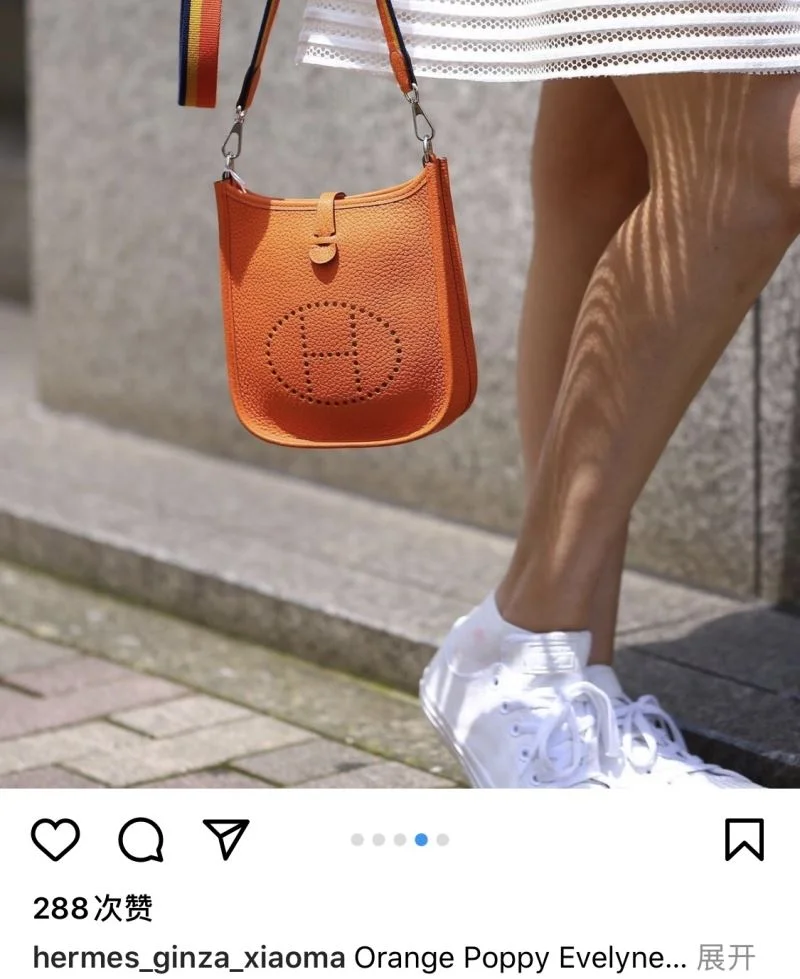 Hermes Evelyn Bags AllSeason 48291