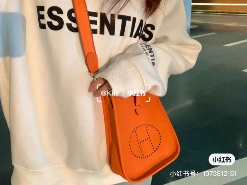 Hermes Evelyn Bags AllSeason 48291