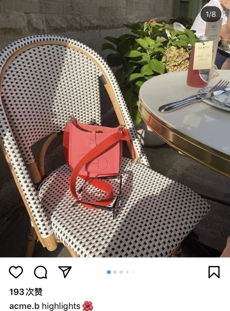 Bright Hermes Evelyn Bags 48266