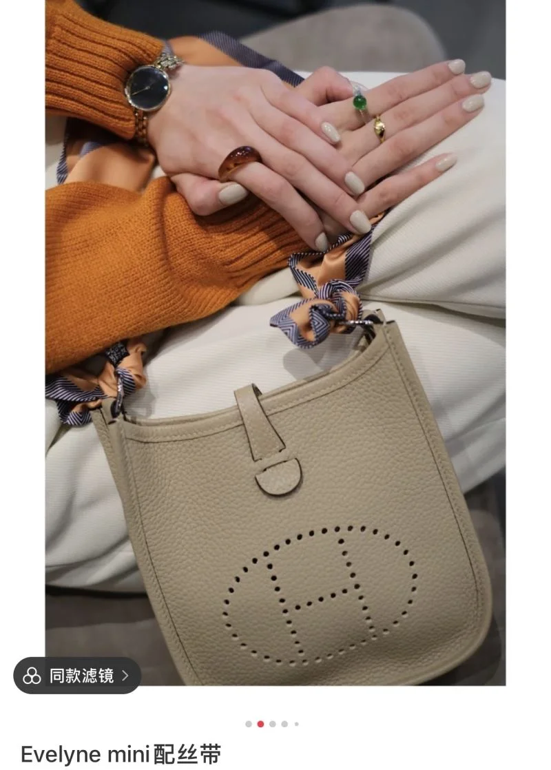 GoAnywhere Hermes Evelyn Bags 48246