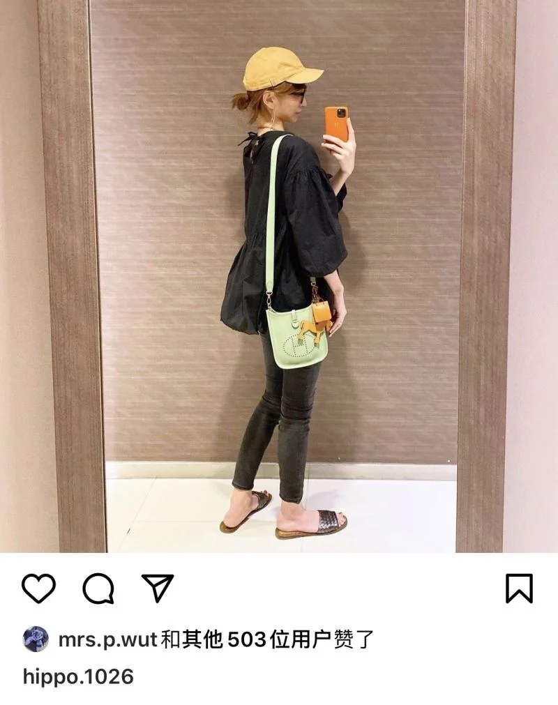 Chic Hermes Evelyn Bags 48265
