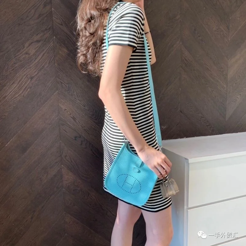 Hermes Evelyn Bags Tailored 48245