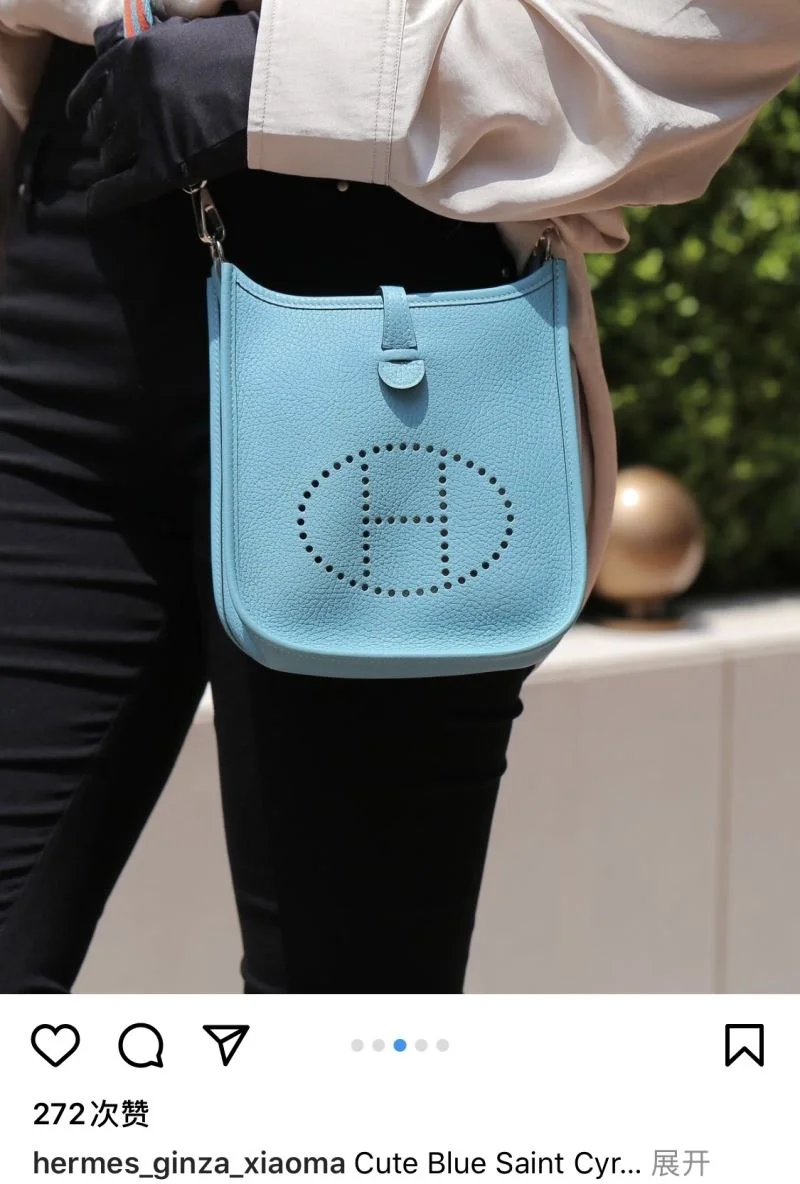 Hermes Evelyn Bags Tailored 48245