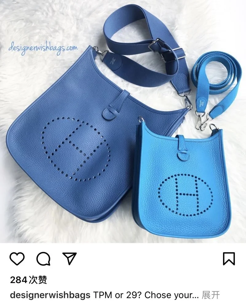 Hermes Evelyn Bags Tailored 48245