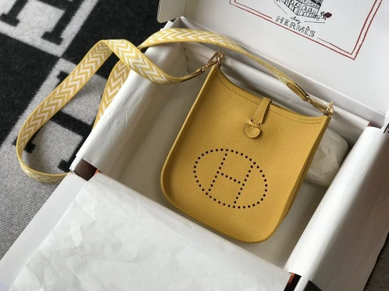 Vibrant Hermes Evelyn Bags 48310