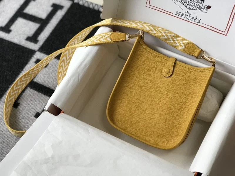 Vibrant Hermes Evelyn Bags 48310