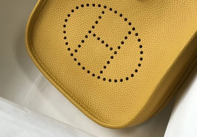 Vibrant Hermes Evelyn Bags 48310