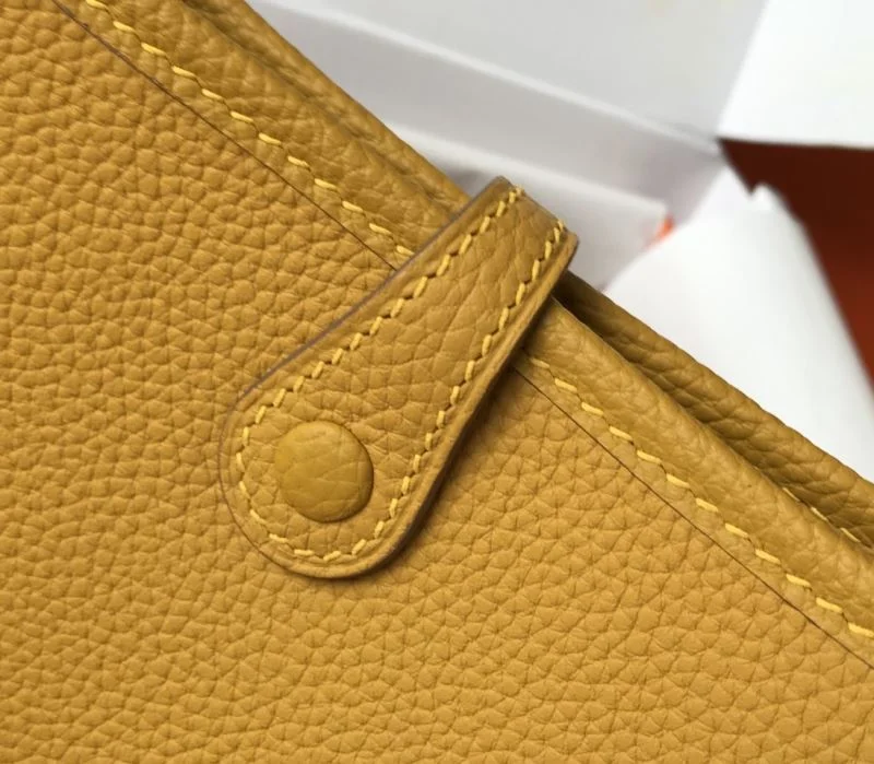 Vibrant Hermes Evelyn Bags 48310
