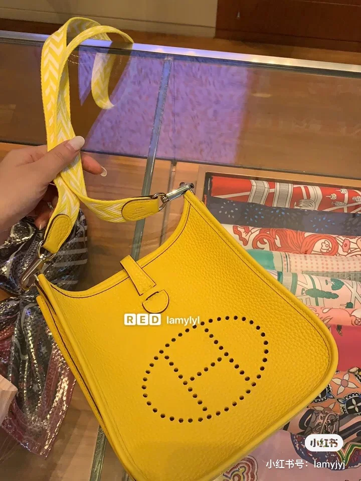 Vibrant Hermes Evelyn Bags 48310