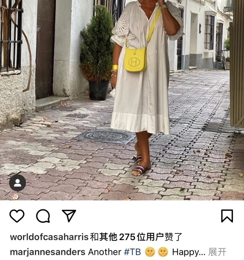 Vibrant Hermes Evelyn Bags 48310