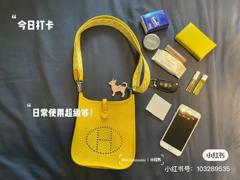 Vibrant Hermes Evelyn Bags 48310