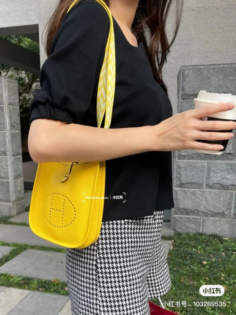 Vibrant Hermes Evelyn Bags 48310