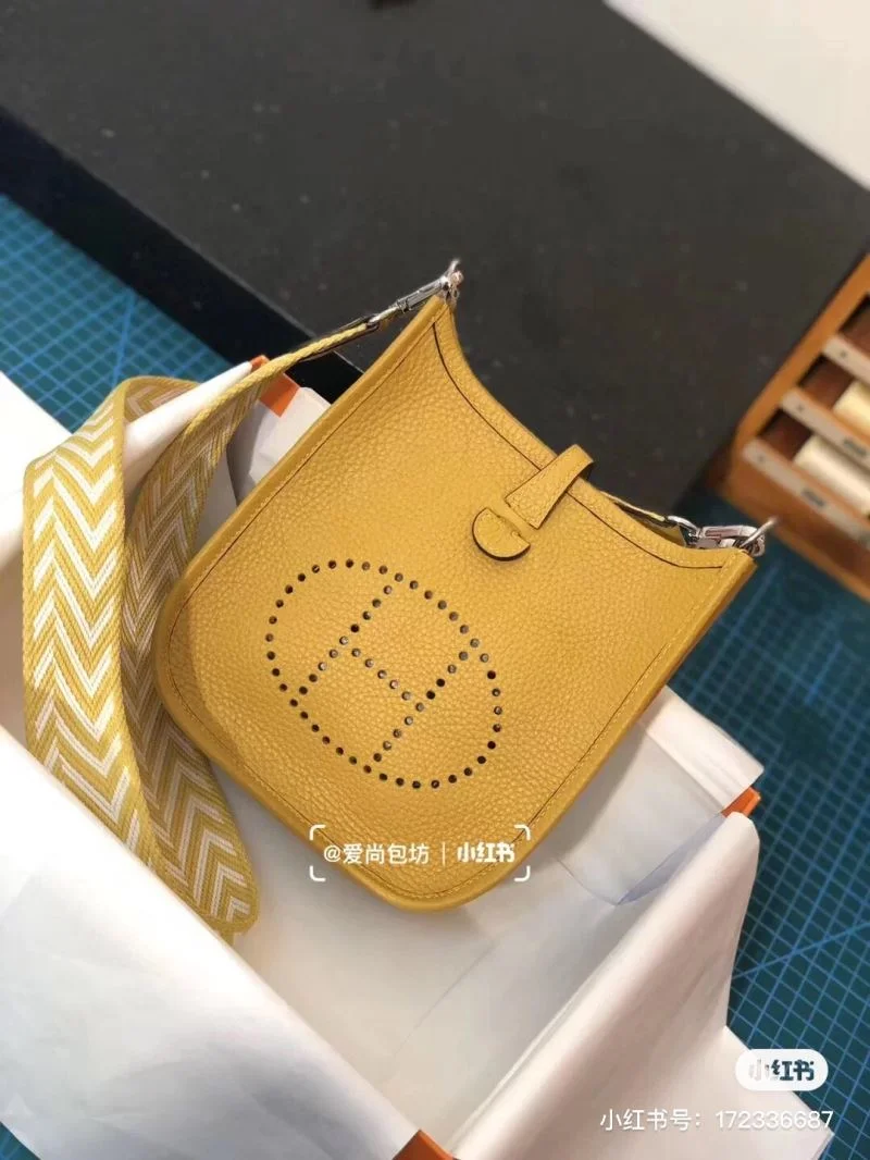 Vibrant Hermes Evelyn Bags 48310