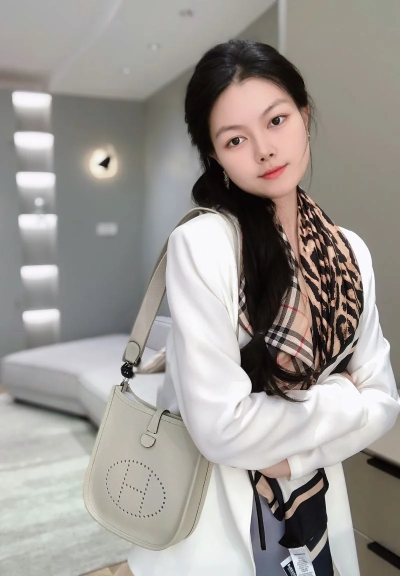 Hermes Evelyn Bags Effortless 48237