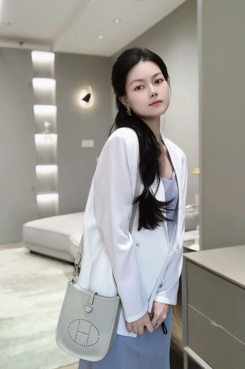Hermes Evelyn Bags Effortless 48237